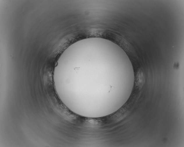 X0000115010522200911091423