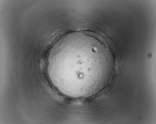 X0000115010523200911091423