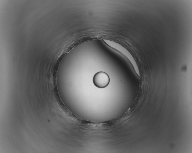 X0000115010524200911091423