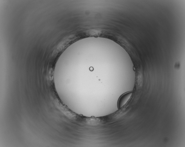 X0000115010525200911091423