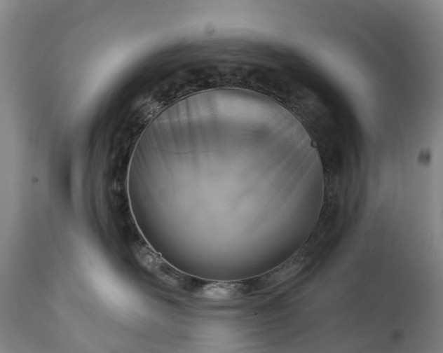 X0000115010526200911091423