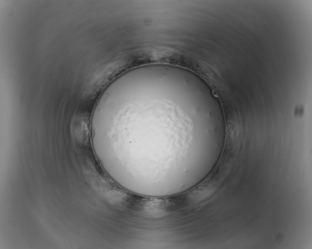 X0000115010527200911091423