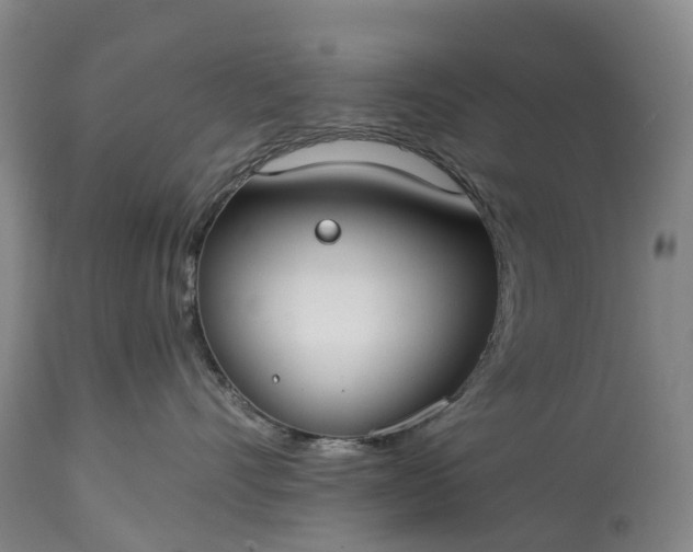 X0000115010528200911091423
