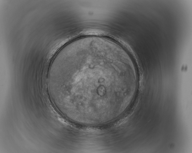 X0000115010529200911091422