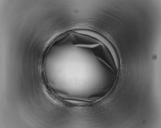 X0000115010530200911091422