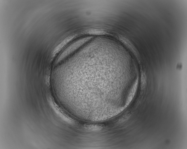 X0000115010533200911091422