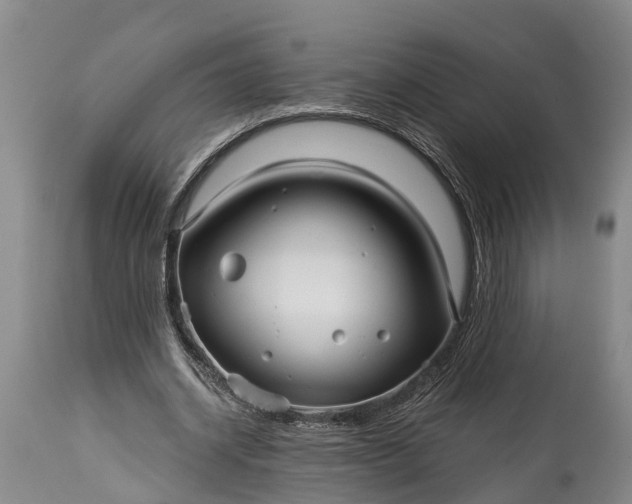 X0000115010534200911091422