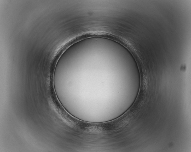 X0000115010535200911091422