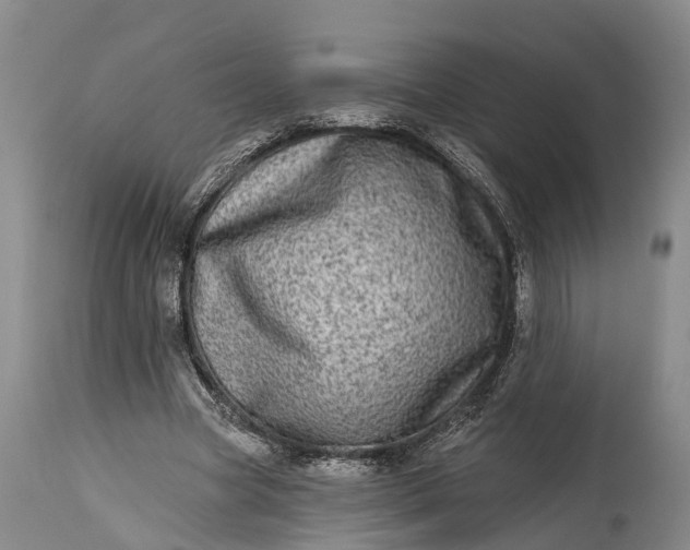 X0000115010537200911091422