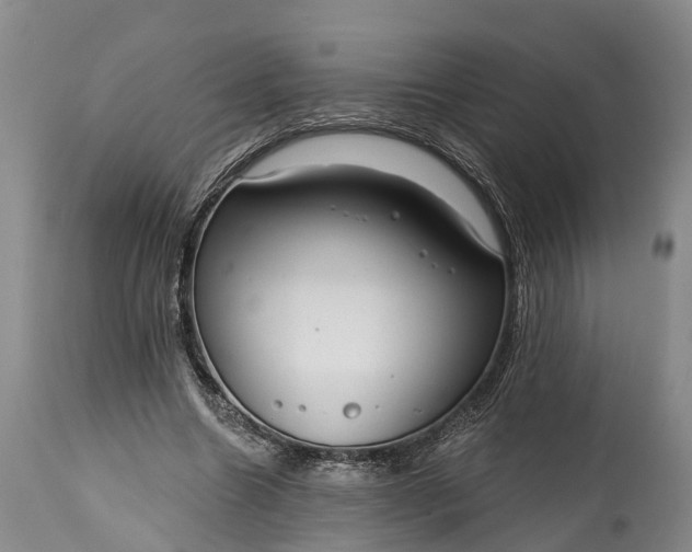 X0000115010538200911091422