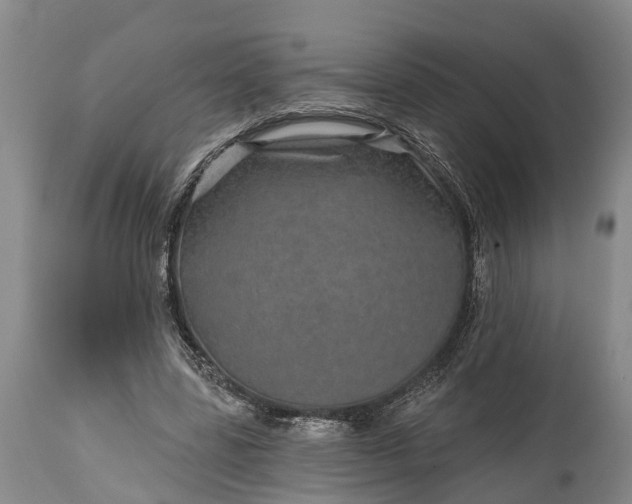 X0000115010539200911091423