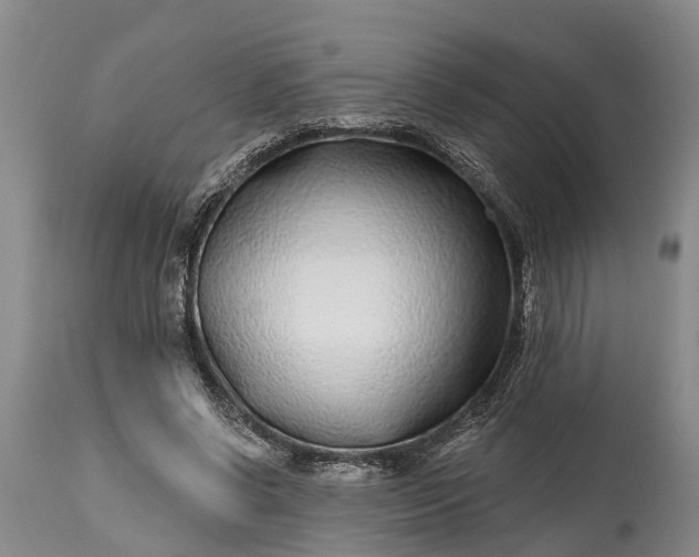 X0000115010542200911091423