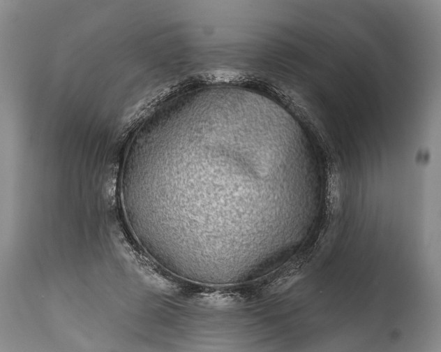 X0000115010545200911091423