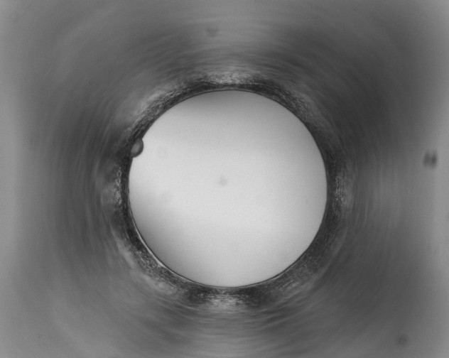 X0000115010547200911091423