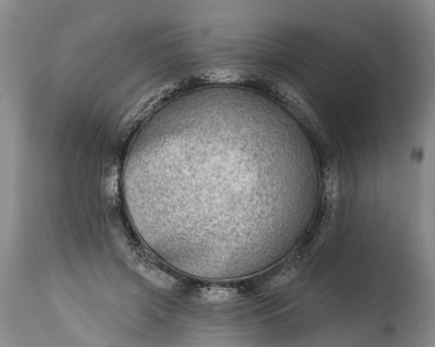X0000115010549200911091423