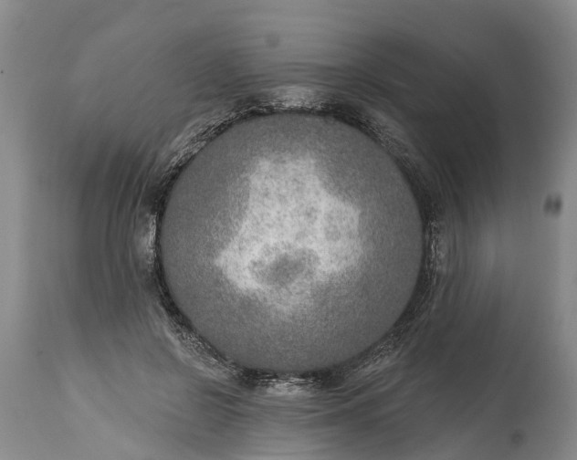 X0000115010550200911091423