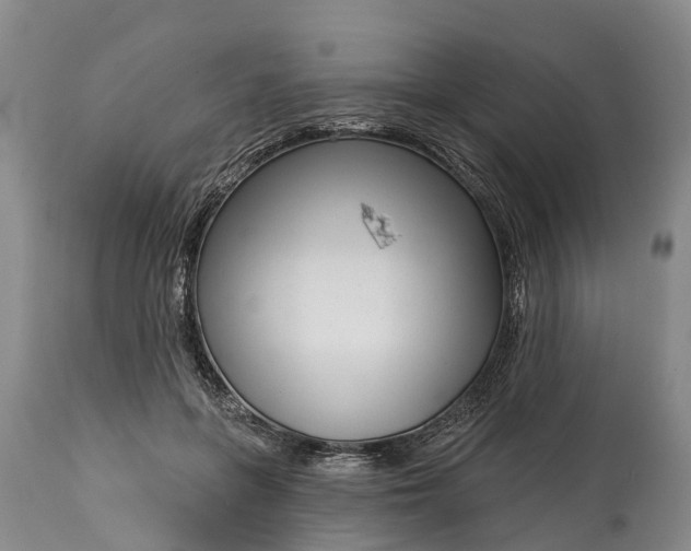 X0000115010551200911091423