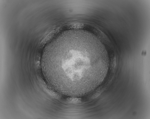 X0000115010553200911091423