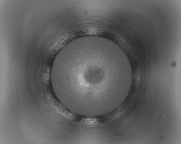 X0000115010554200911091423