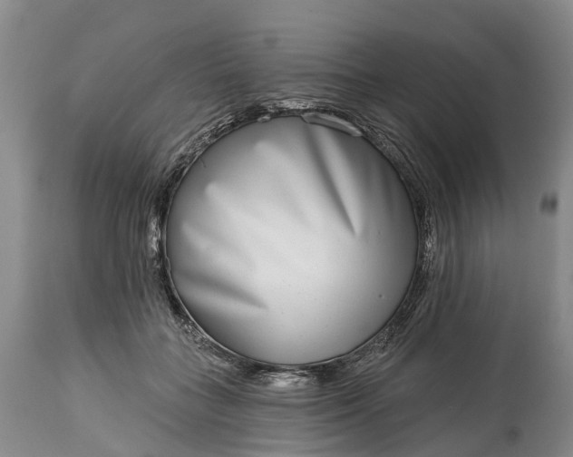 X0000115010555200911091423