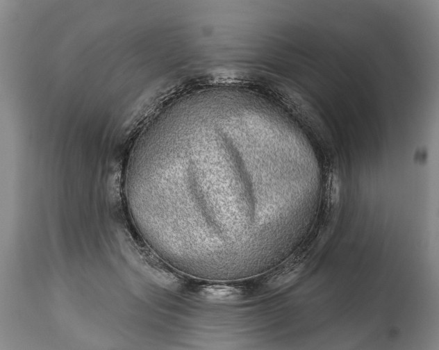 X0000115010557200911091423