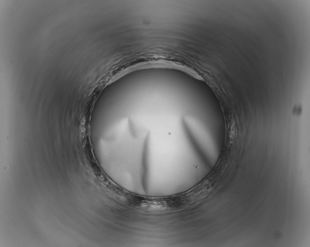 X0000115010559200911091423