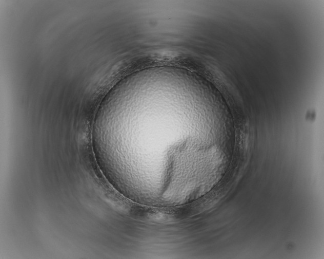 X0000115010561200911091423