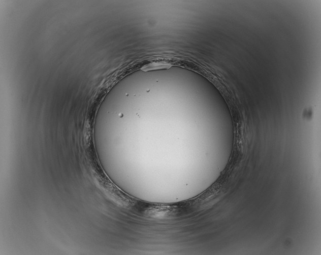 X0000115010563200911091423