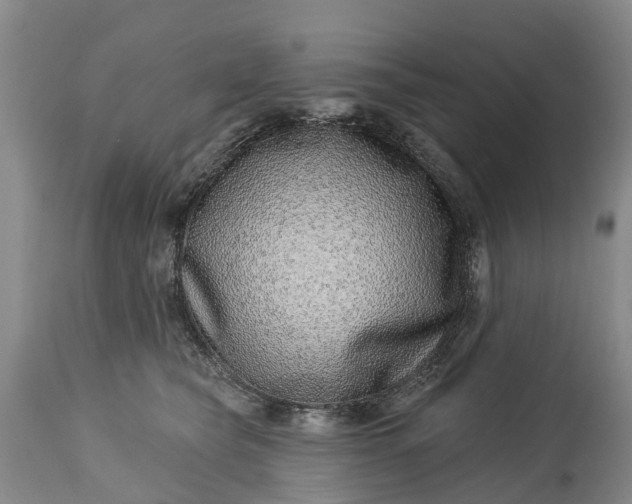 X0000115010565200911091423