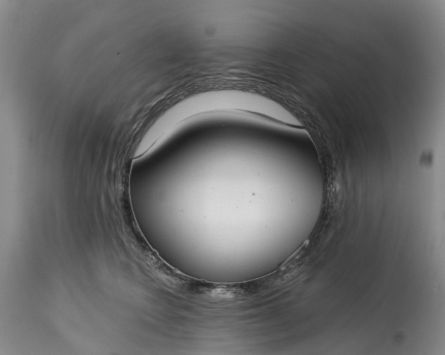 X0000115010566200911091423