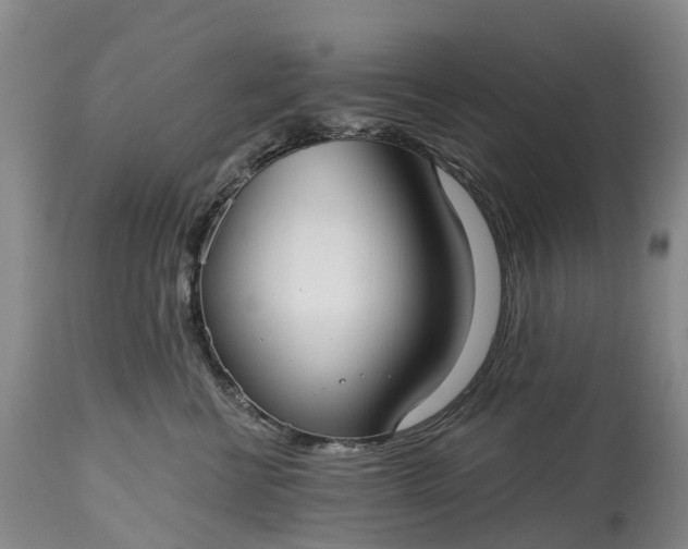 X0000115010570200911091423