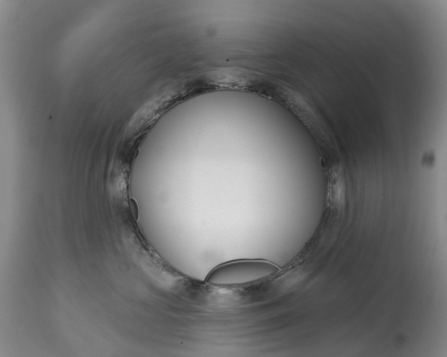 X0000115010573200911091423