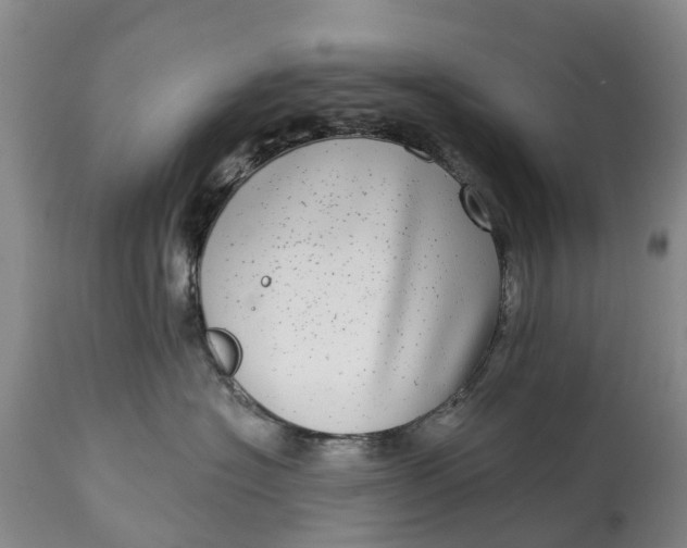 X0000115010574200911091423