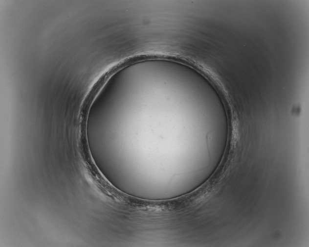 X0000115010580200911091422