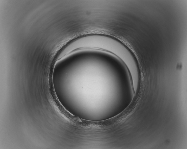 X0000115010581200911091422