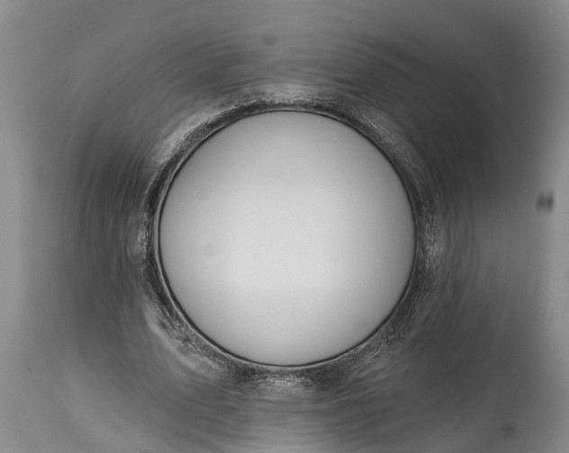X0000115010583200911091422