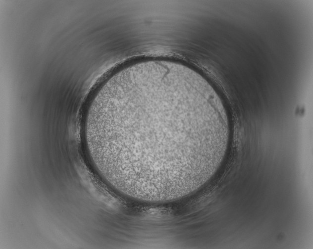 X0000115010584200911091422