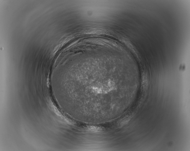 X0000115010585200911091422