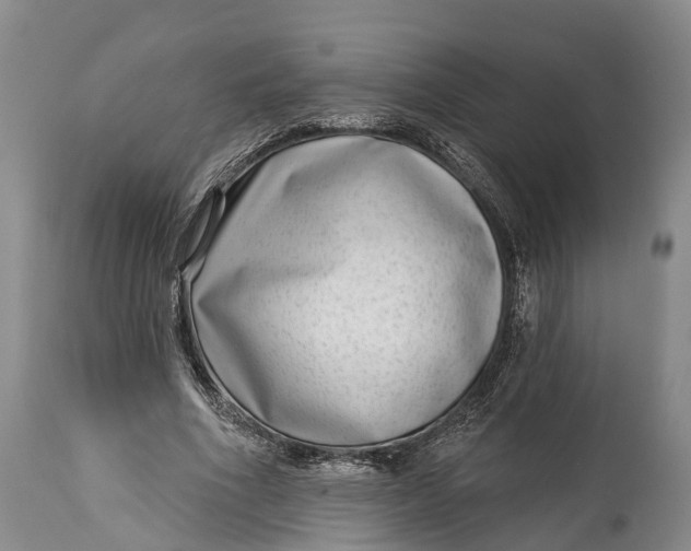 X0000115010586200911091422