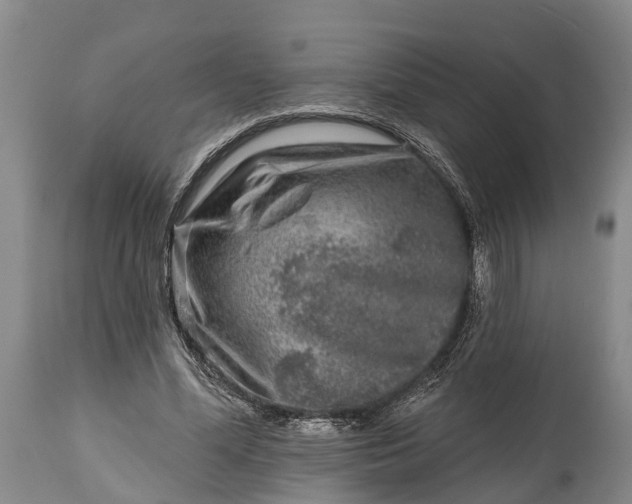 X0000115010588200911091422
