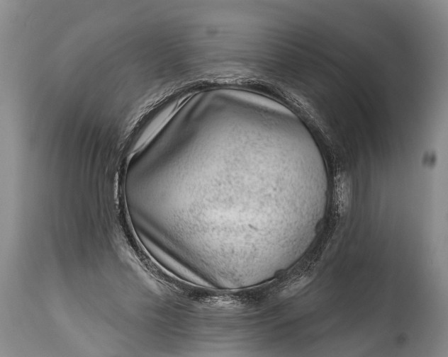 X0000115010589200911091422