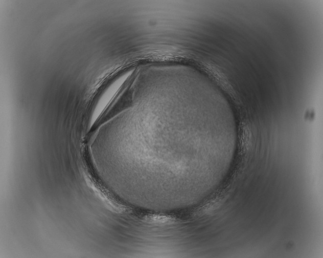 X0000115010590200911091422
