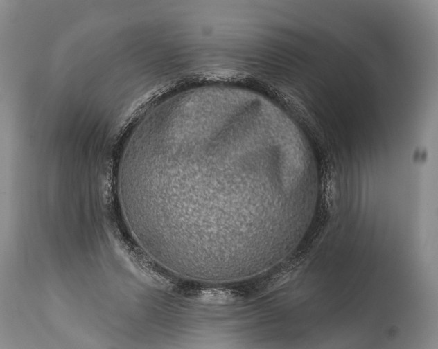X0000115010591200911091422