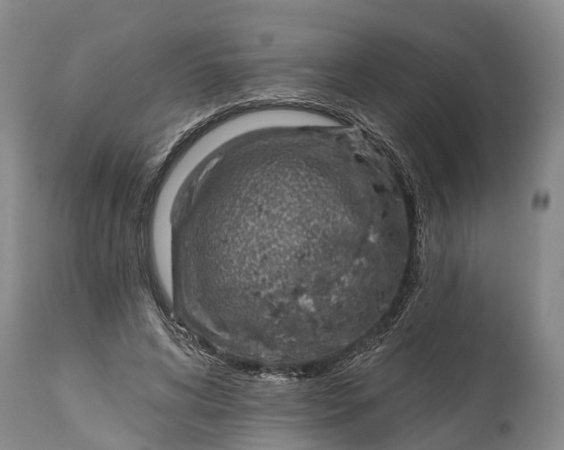 X0000115010592200911091422