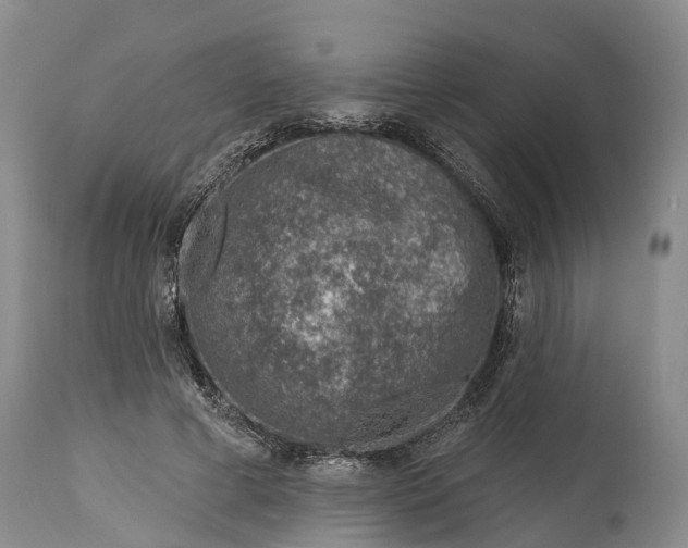 X0000115010593200911091422
