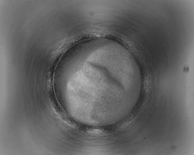 X0000115010594200911091422