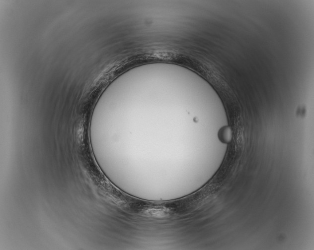 X0000115010595200911091422