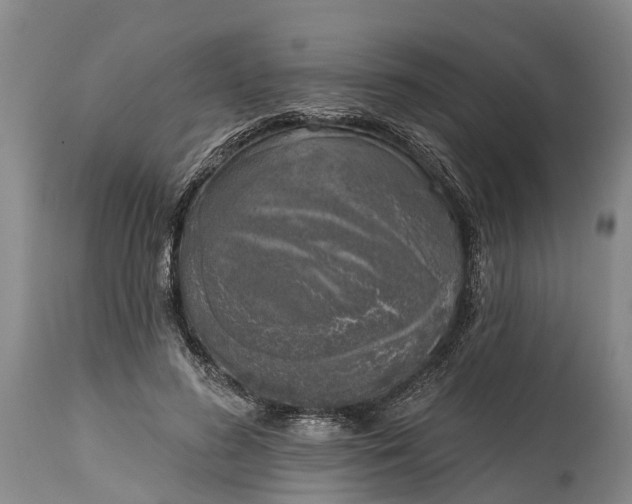 X0000115010596200911091422