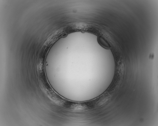 X0000115010597200911091422