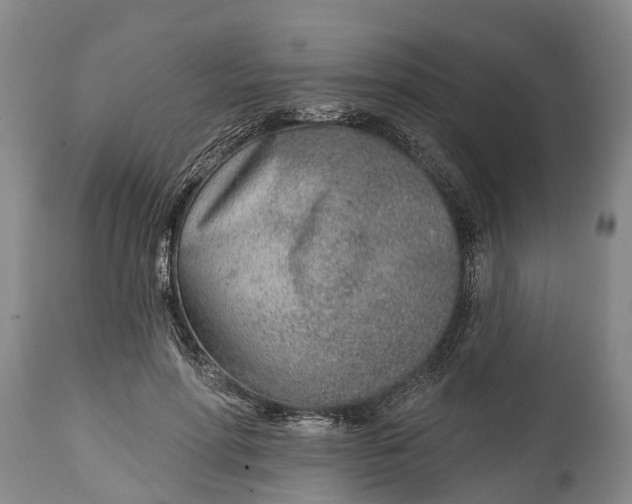 X0000115010598200911091422